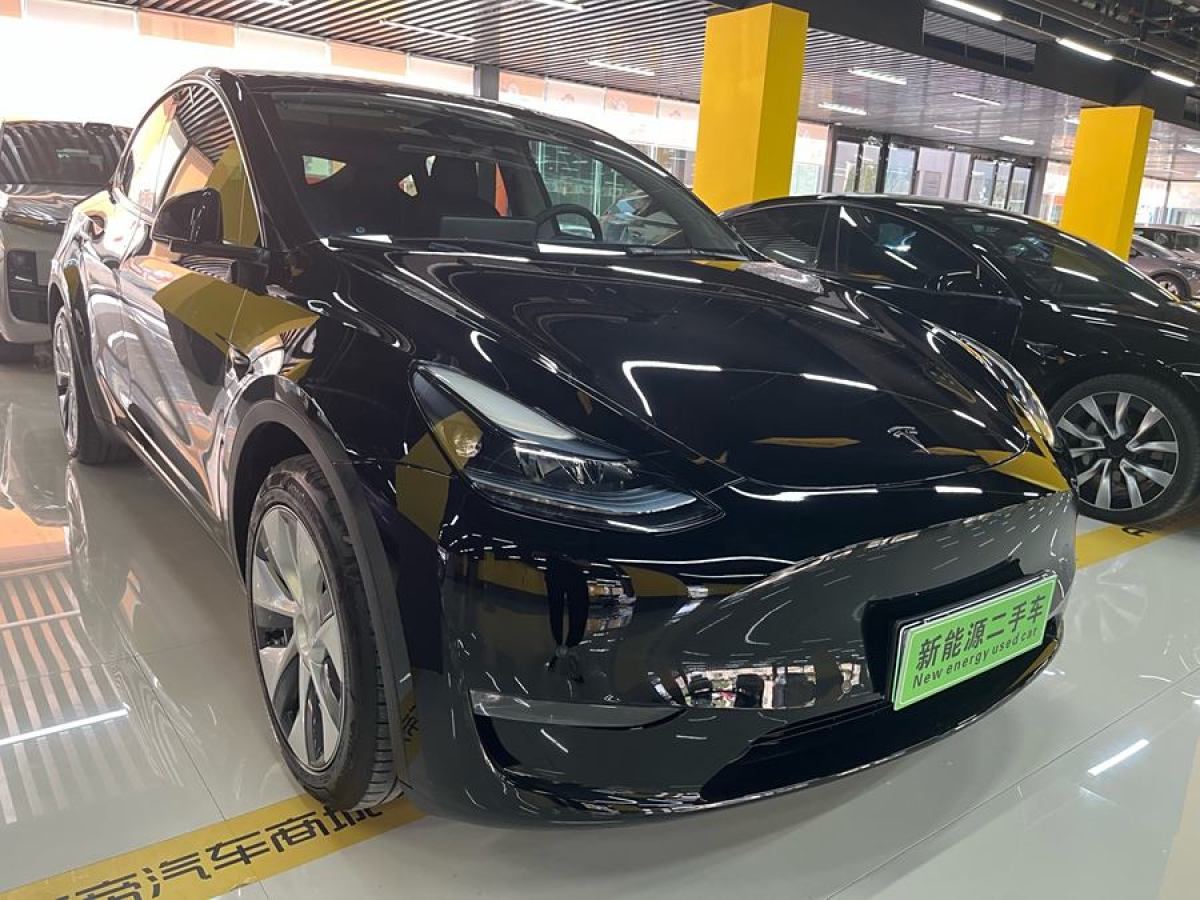 特斯拉 Model 3  2021款 改款 標準續(xù)航后驅升級版圖片