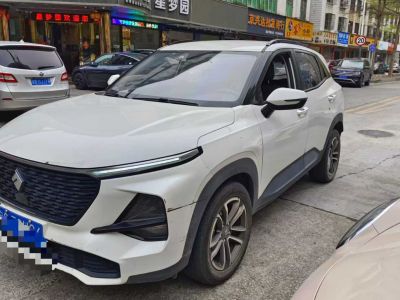 2021年5月 寶駿 寶駿Valli 1.5T 伊犁牧場(chǎng) CVT豪華型圖片