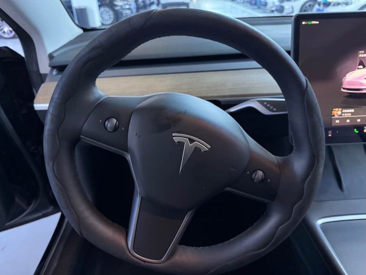 特斯拉 Model 3  2022款 后輪驅(qū)動版圖片