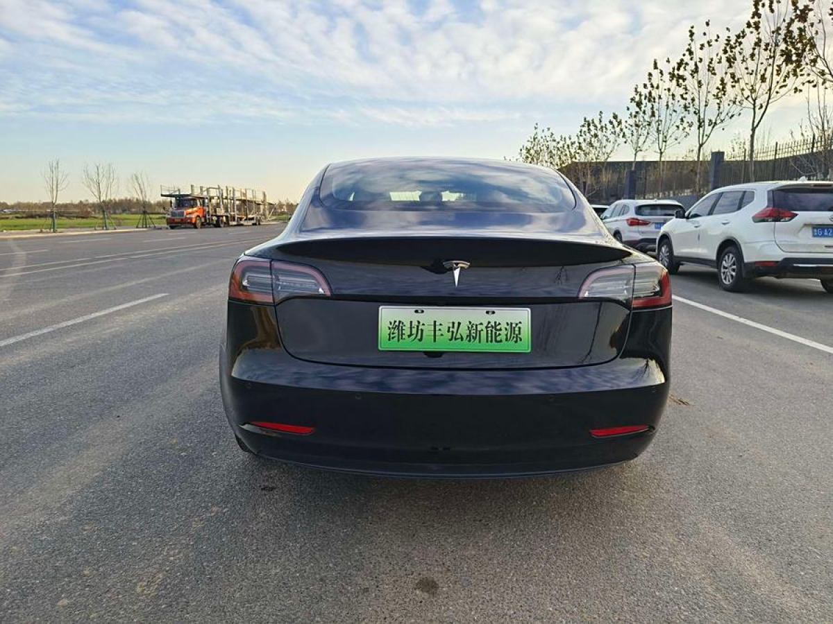 特斯拉 Model 3  2019款 長續(xù)航后驅版圖片