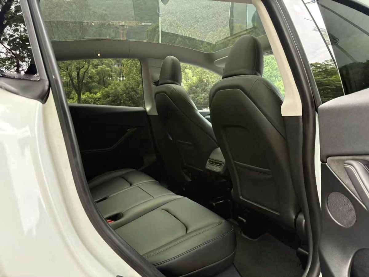 特斯拉 Model S  2023款 三電機(jī)全輪驅(qū)動(dòng) Plaid版圖片
