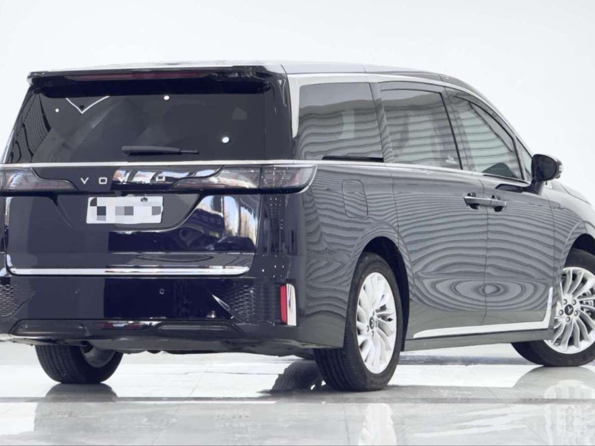 嵐圖 夢想家  2024款 PHEV 超長續(xù)航卓越版圖片