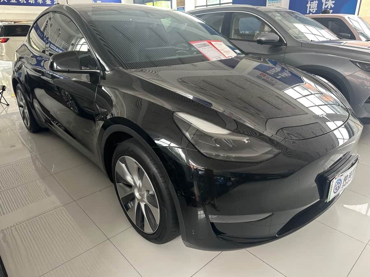 特斯拉 Model Y  2021款 改款 長續(xù)航全輪驅(qū)動版圖片