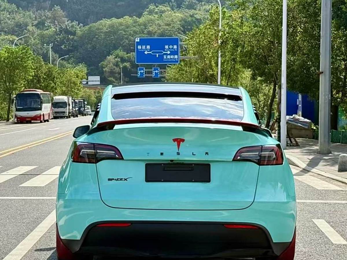 特斯拉 Model Y  2020款 改款 长续航后轮驱动版图片