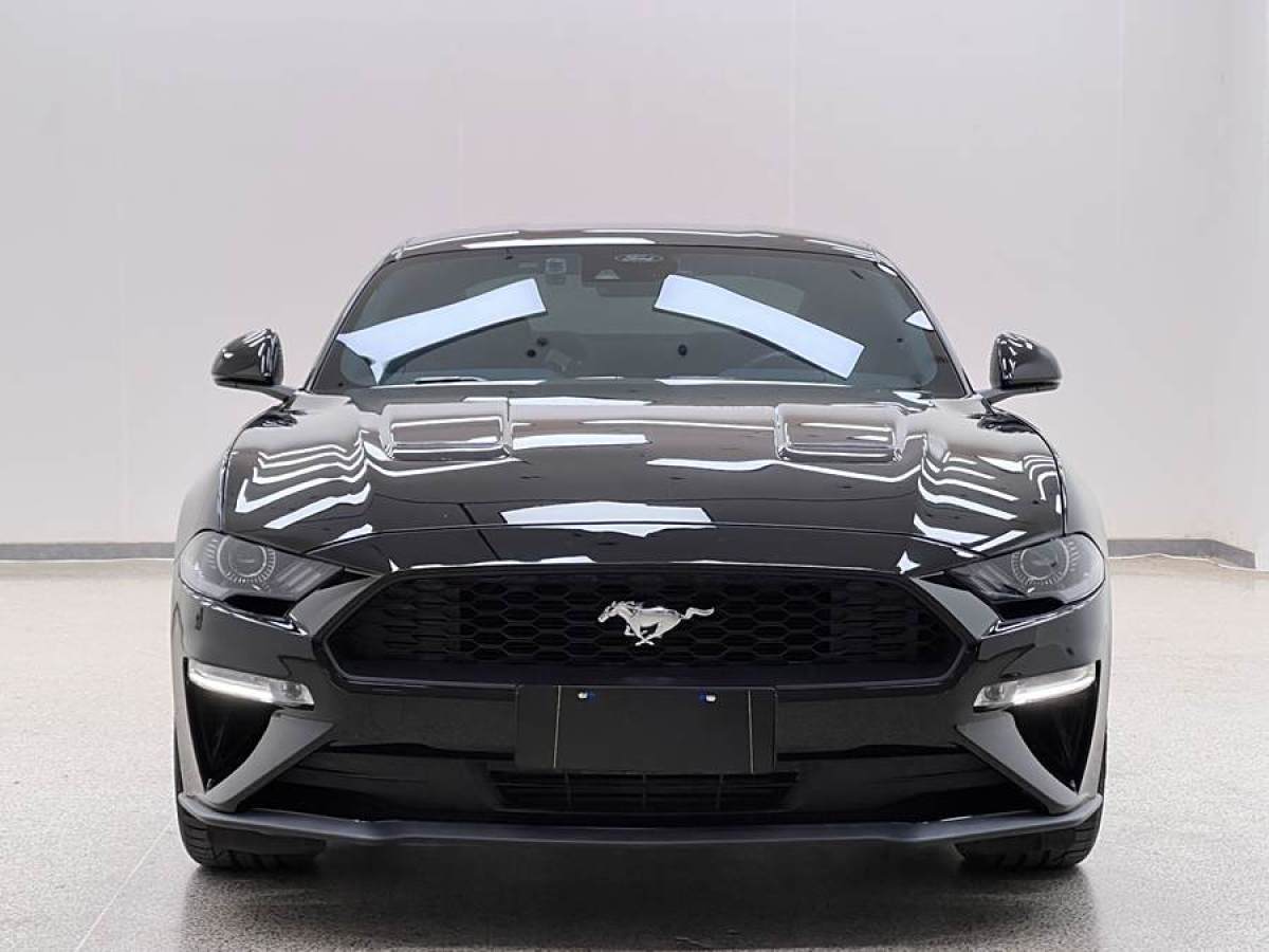 福特 Mustang  2021款 2.3L EcoBoost圖片