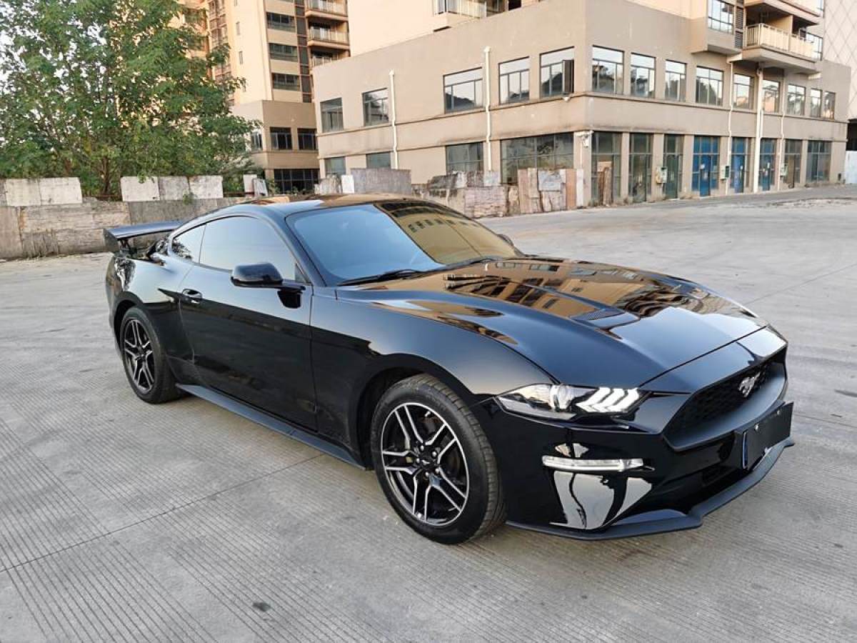 福特 Mustang  2019款 2.3L EcoBoost圖片