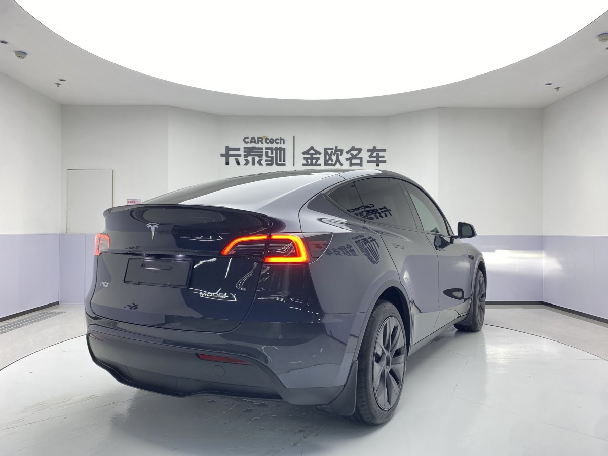 特斯拉 Model Y  2020款 改款 长续航后轮驱动版图片