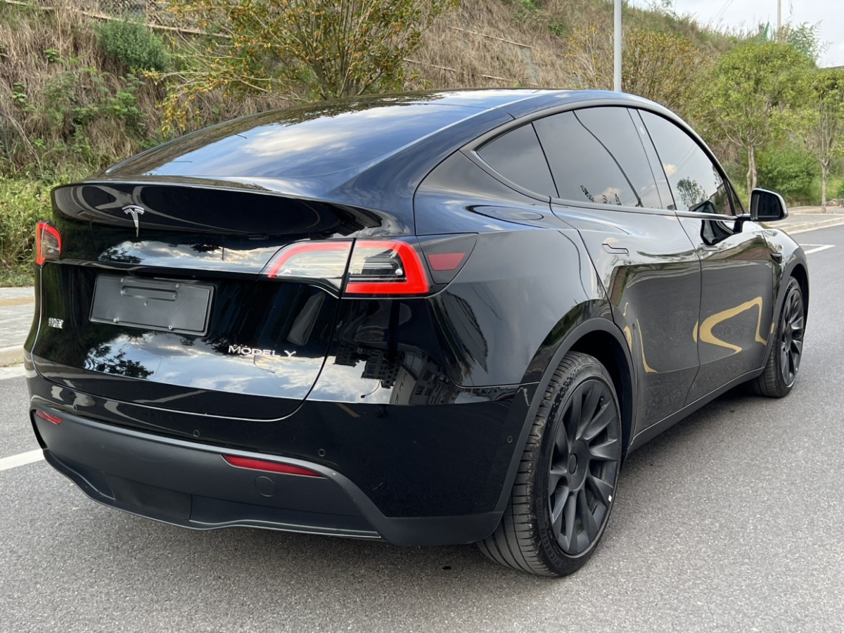 特斯拉 Model Y  2021款 改款 標(biāo)準(zhǔn)續(xù)航后驅(qū)升級(jí)版圖片