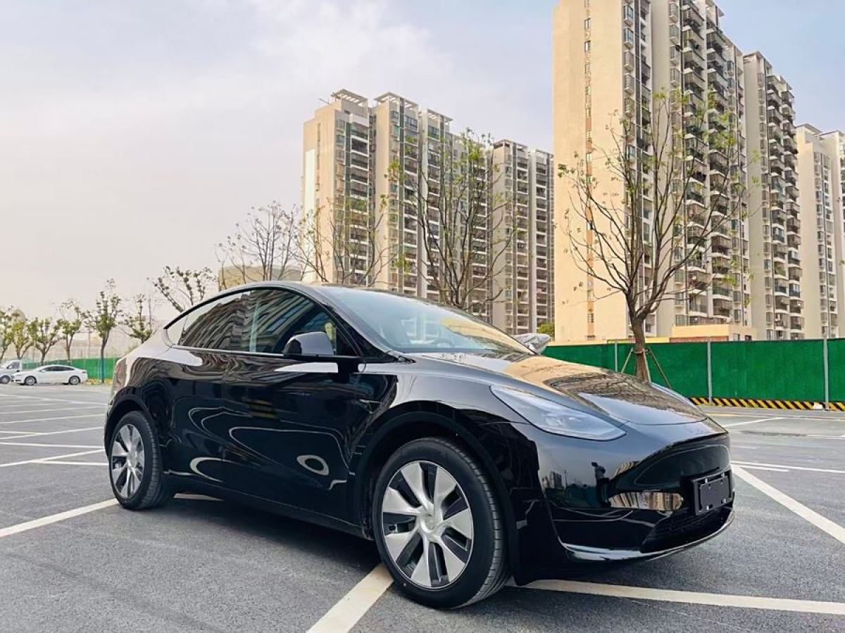 2022年8月特斯拉 Model Y  2022款 后輪驅(qū)動版