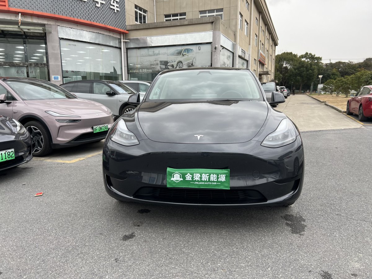 特斯拉 Model 3  2020款 改款 長續(xù)航后輪驅(qū)動版圖片