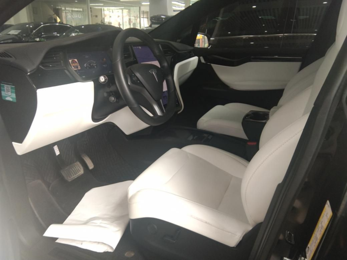 特斯拉 Model X  2019款 長續(xù)航版圖片