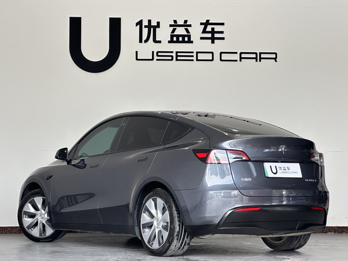 特斯拉 Model 3  2020款 改款 長續(xù)航后輪驅(qū)動版圖片