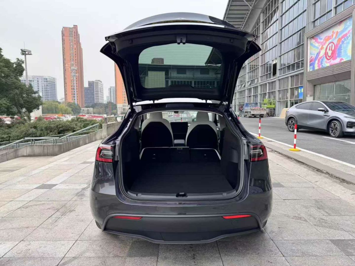 特斯拉 Model Y  2024款 Performance高性能版圖片