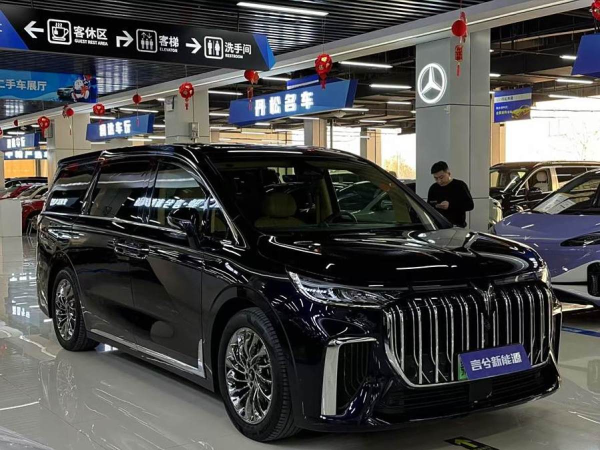 嵐圖 夢想家  2024款 PHEV 超長續(xù)航旗艦版圖片