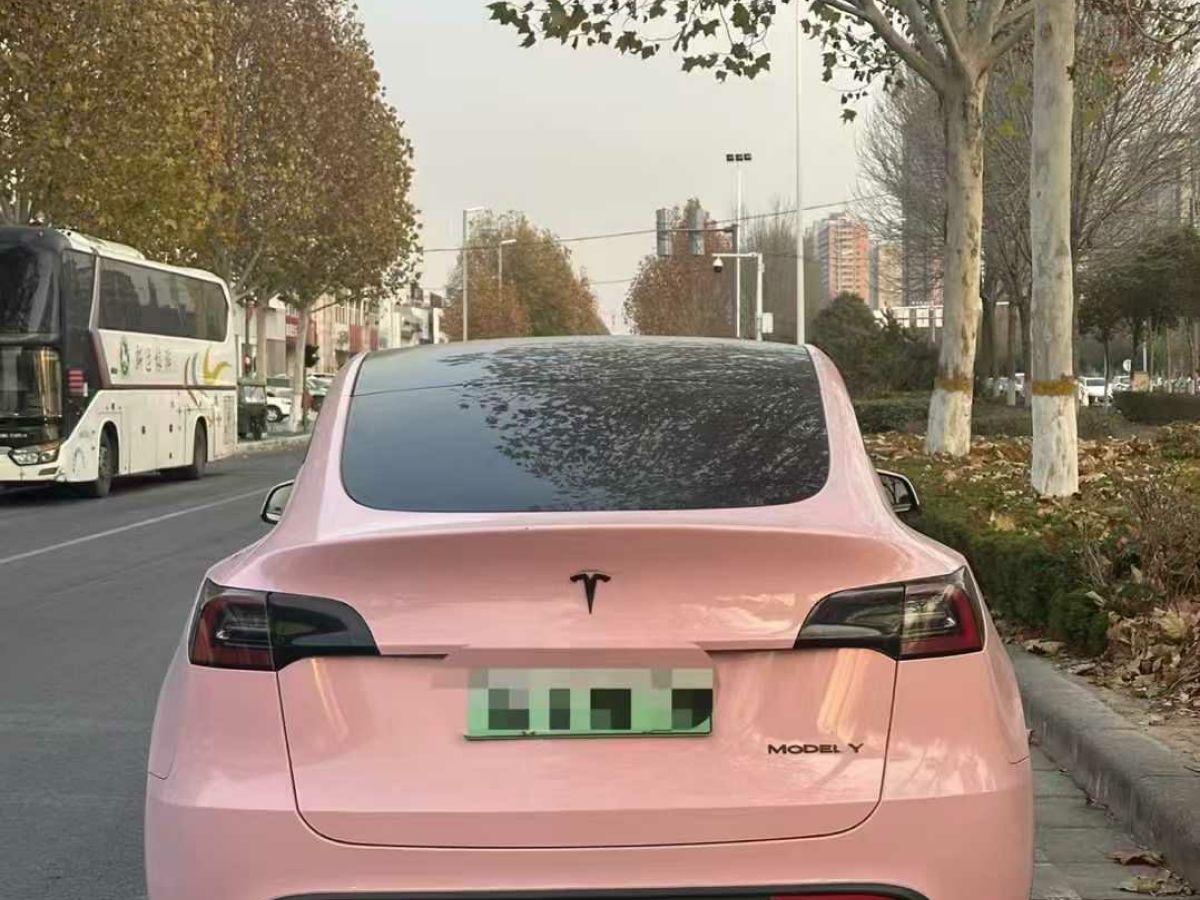 特斯拉 Model S  2023款 三電機(jī)全輪驅(qū)動(dòng) Plaid版圖片