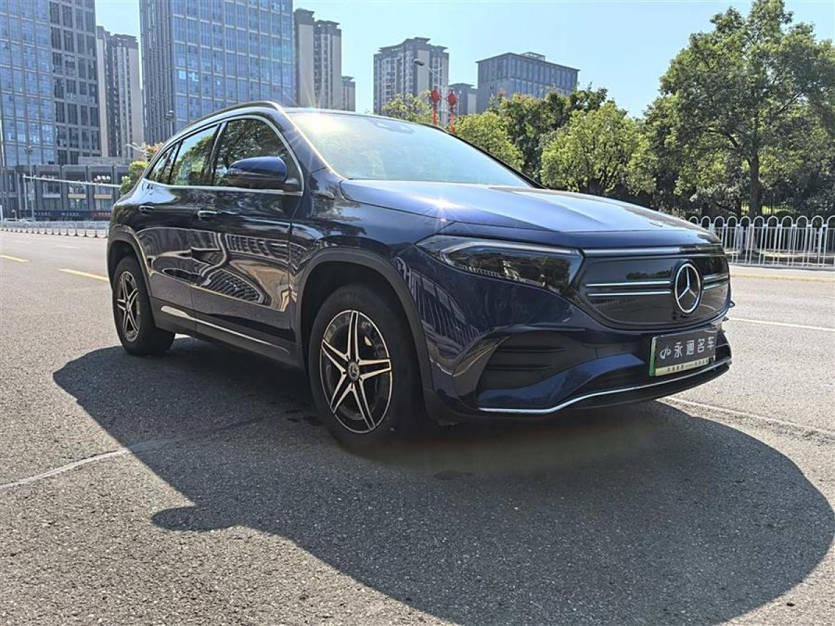 2022年1月奔馳 奔馳EQA  2022款 EQA 300 4MATIC 首發(fā)特別版