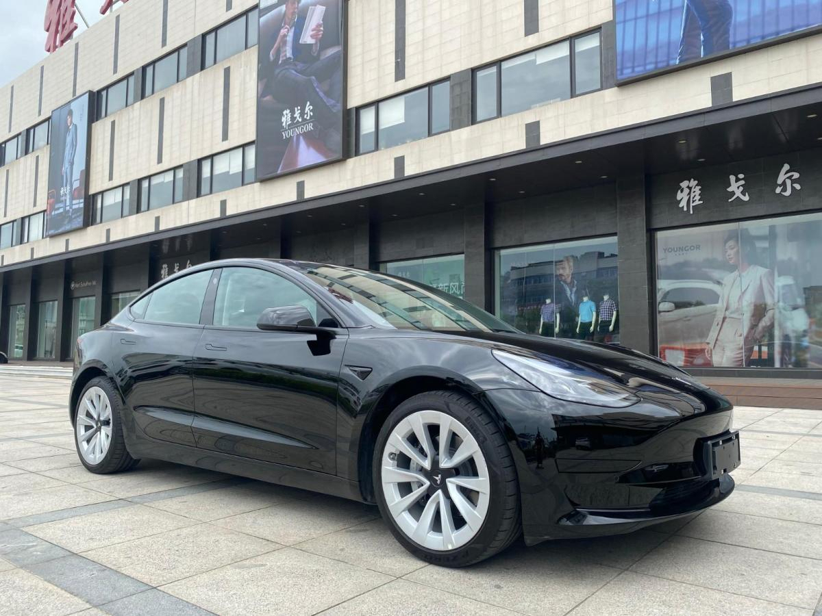 特斯拉 Model 3  2021款 標(biāo)準(zhǔn)續(xù)航后驅(qū)版圖片