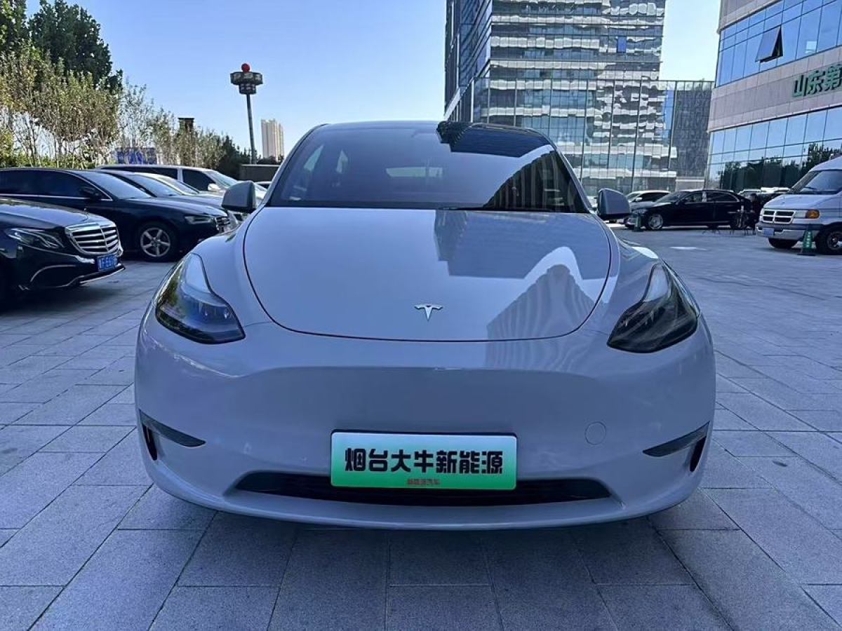 特斯拉 Model Y  2022款 Performance高性能全輪驅(qū)動版圖片