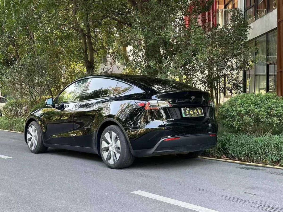 特斯拉 Model Y  2022款 Performance高性能全輪驅(qū)動(dòng)版圖片