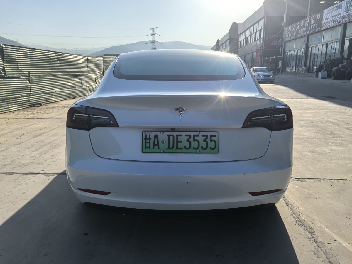 特斯拉 Model 3  2019款 標(biāo)準(zhǔn)續(xù)航后驅(qū)升級版圖片