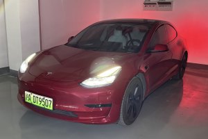 Model 3 特斯拉 標(biāo)準(zhǔn)續(xù)航后驅(qū)升級(jí)版