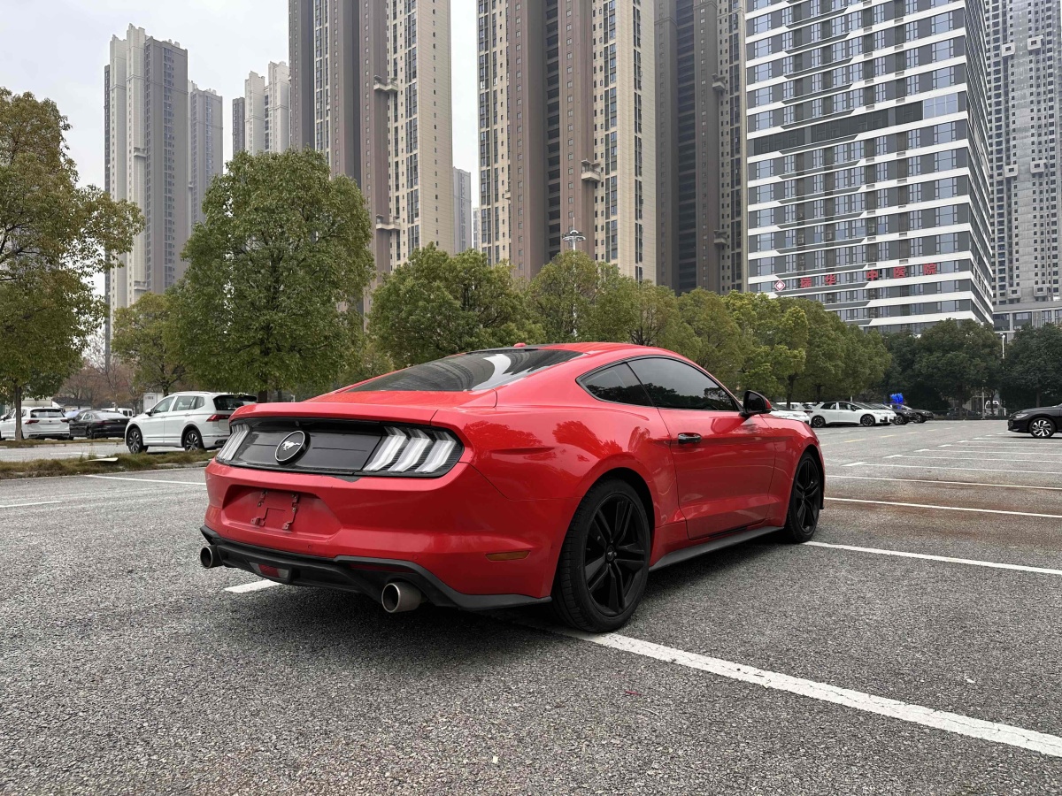 福特 Mustang  2019款 2.3L EcoBoost圖片