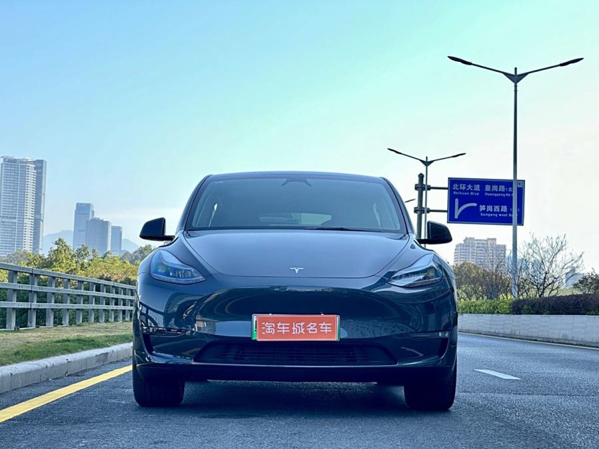 特斯拉 Model Y  2024款 長續(xù)航全輪驅(qū)動版圖片