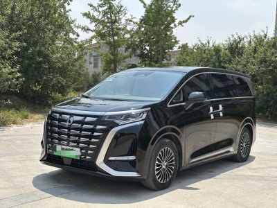 2023年11月 騰勢 騰勢D9 DM-i 1040 尊貴型圖片