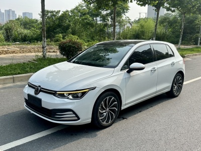 2024年02月 大眾 高爾夫 280TSI DSG Pro 20周年紀(jì)念版圖片