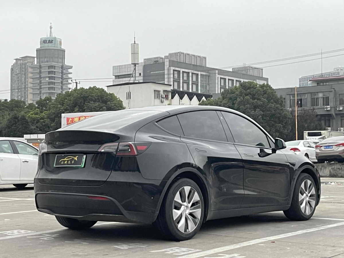 特斯拉 Model 3  2020款 改款 長續(xù)航后輪驅(qū)動版圖片