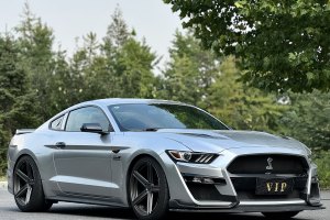 Mustang 福特 5.0L GT 性能版