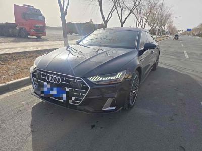 2024年4月 奧迪 奧迪A7L 45 TFSI 豪華型圖片