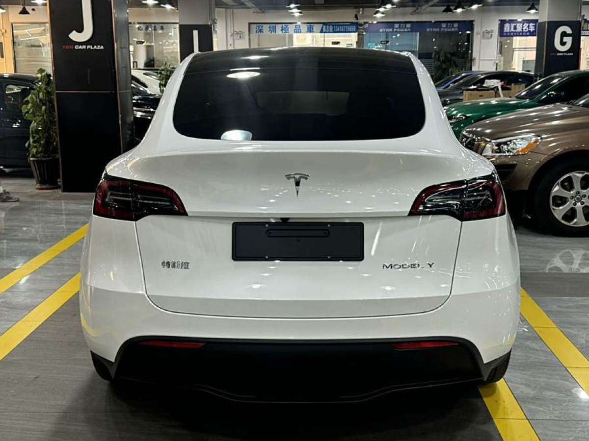 特斯拉 Model 3  2020款 改款 長(zhǎng)續(xù)航后輪驅(qū)動(dòng)版圖片