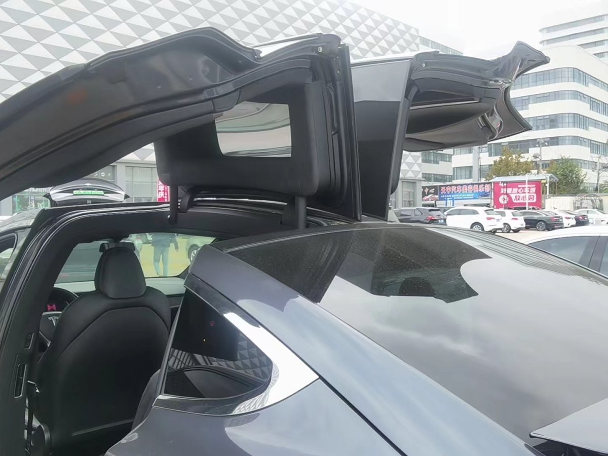 特斯拉 Model X  2019款 長續(xù)航版圖片