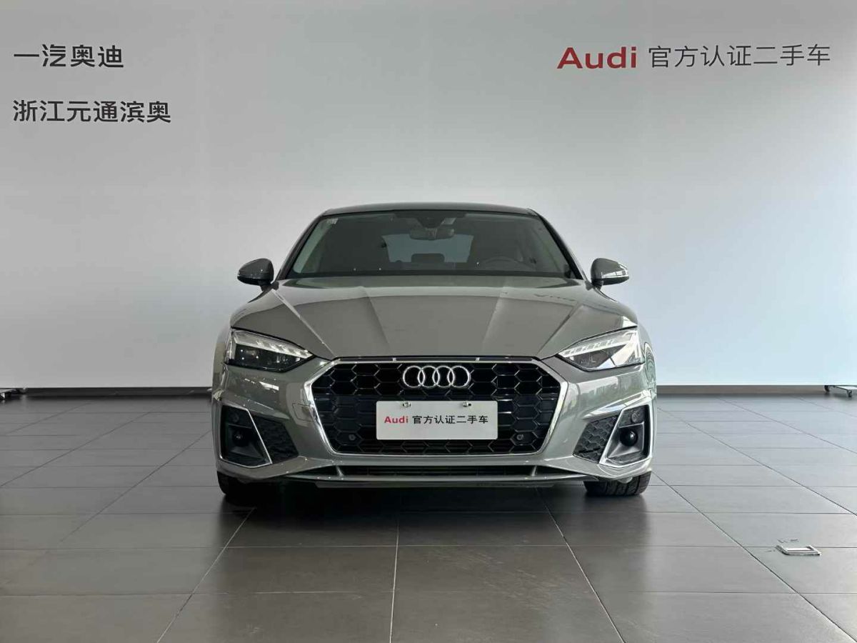 奧迪 奧迪SQ5  2021款 3.0 TFSI quattro圖片