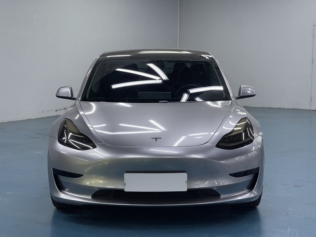 特斯拉 Model 3  2019款 標準續(xù)航后驅升級版圖片