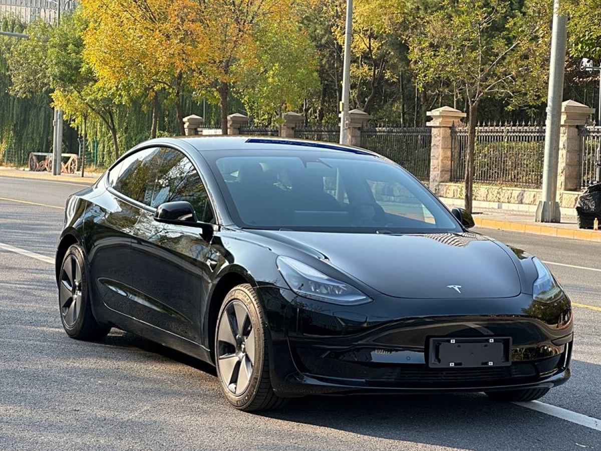 2021年2月特斯拉 Model 3  2019款 標(biāo)準(zhǔn)續(xù)航后驅(qū)升級版