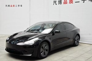 Model 3 特斯拉 标准续航后驱升级版