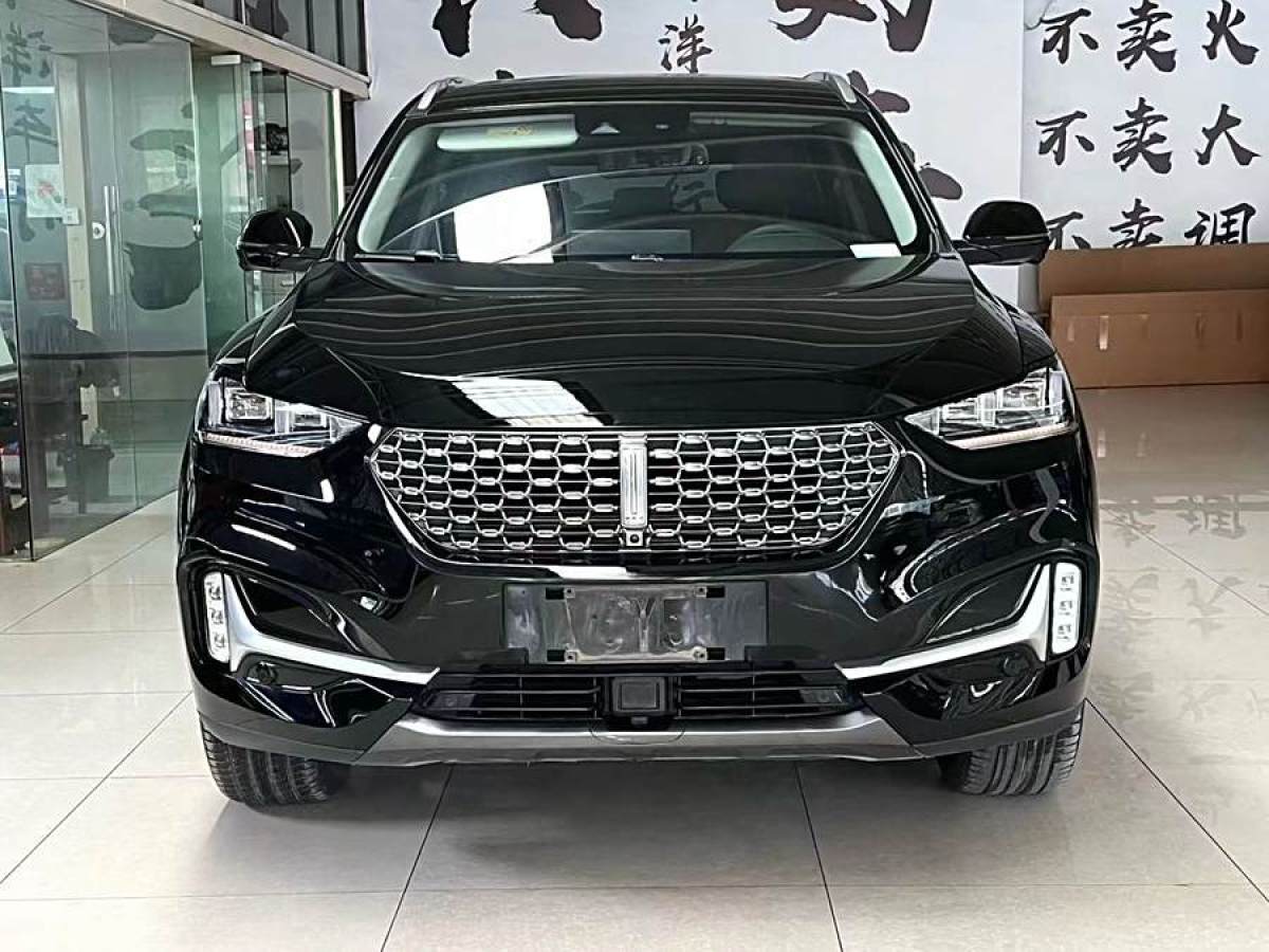 WEY VV6  2021款 2.0T 兩驅智護+圖片