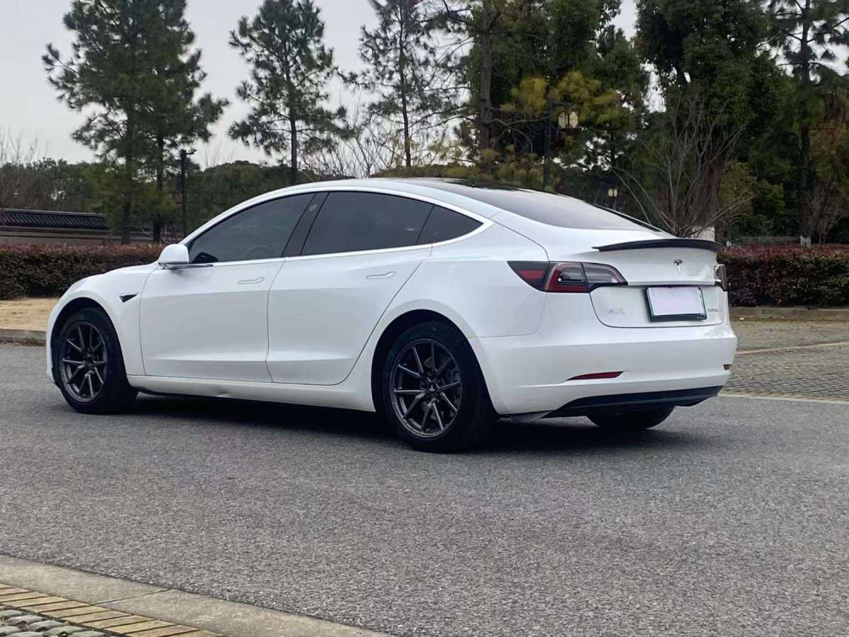 特斯拉 Model 3  2019款 標準續(xù)航后驅升級版圖片