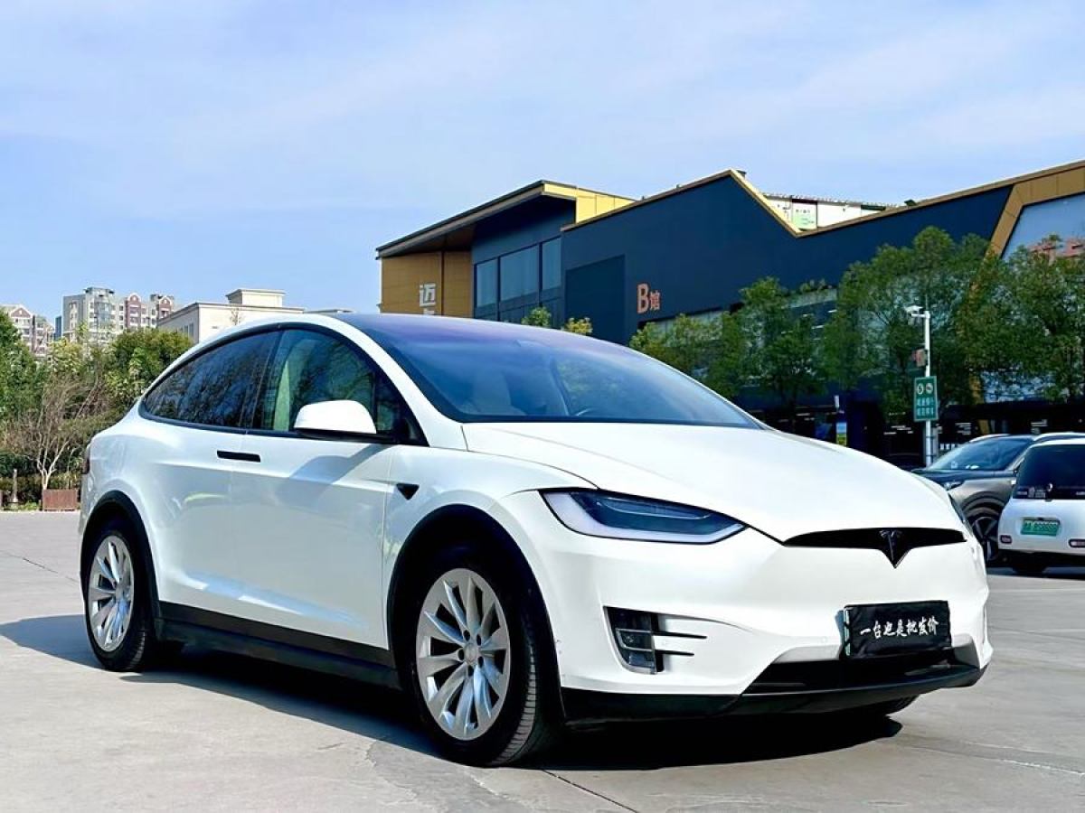 特斯拉 Model X  2017款 Model X 100D 長(zhǎng)續(xù)航版圖片