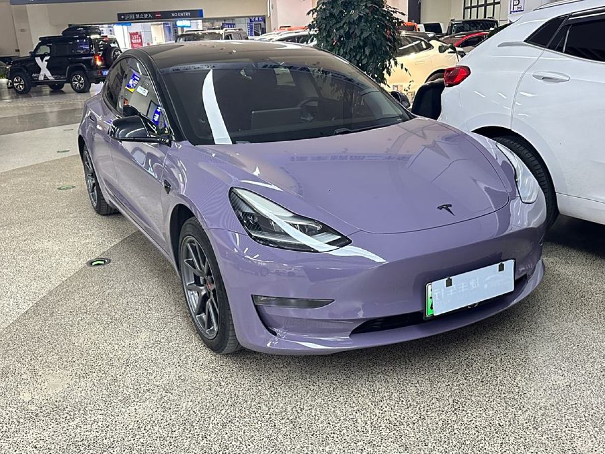 特斯拉 Model 3  2020款 改款 長續(xù)航后輪驅(qū)動版圖片