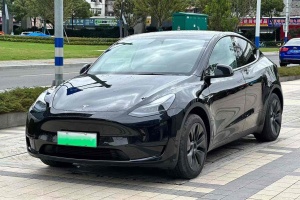 Model Y 特斯拉 改款 长续航后轮驱动版