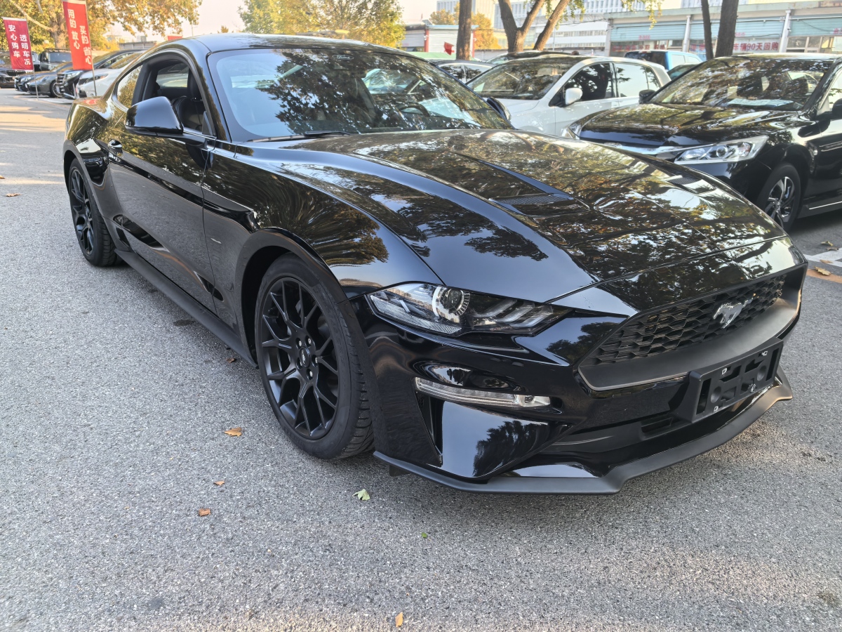 福特 Mustang  2021款 2.3L EcoBoost圖片