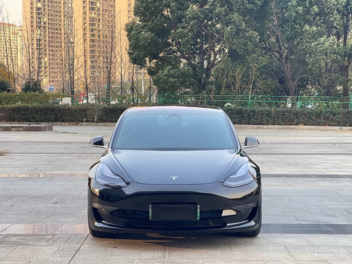 特斯拉 Model 3  2019款 長(zhǎng)續(xù)航后驅(qū)版圖片