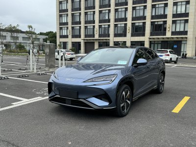 2024年9月 比亞迪 唐新能源 EV 長續(xù)航版尊榮型圖片