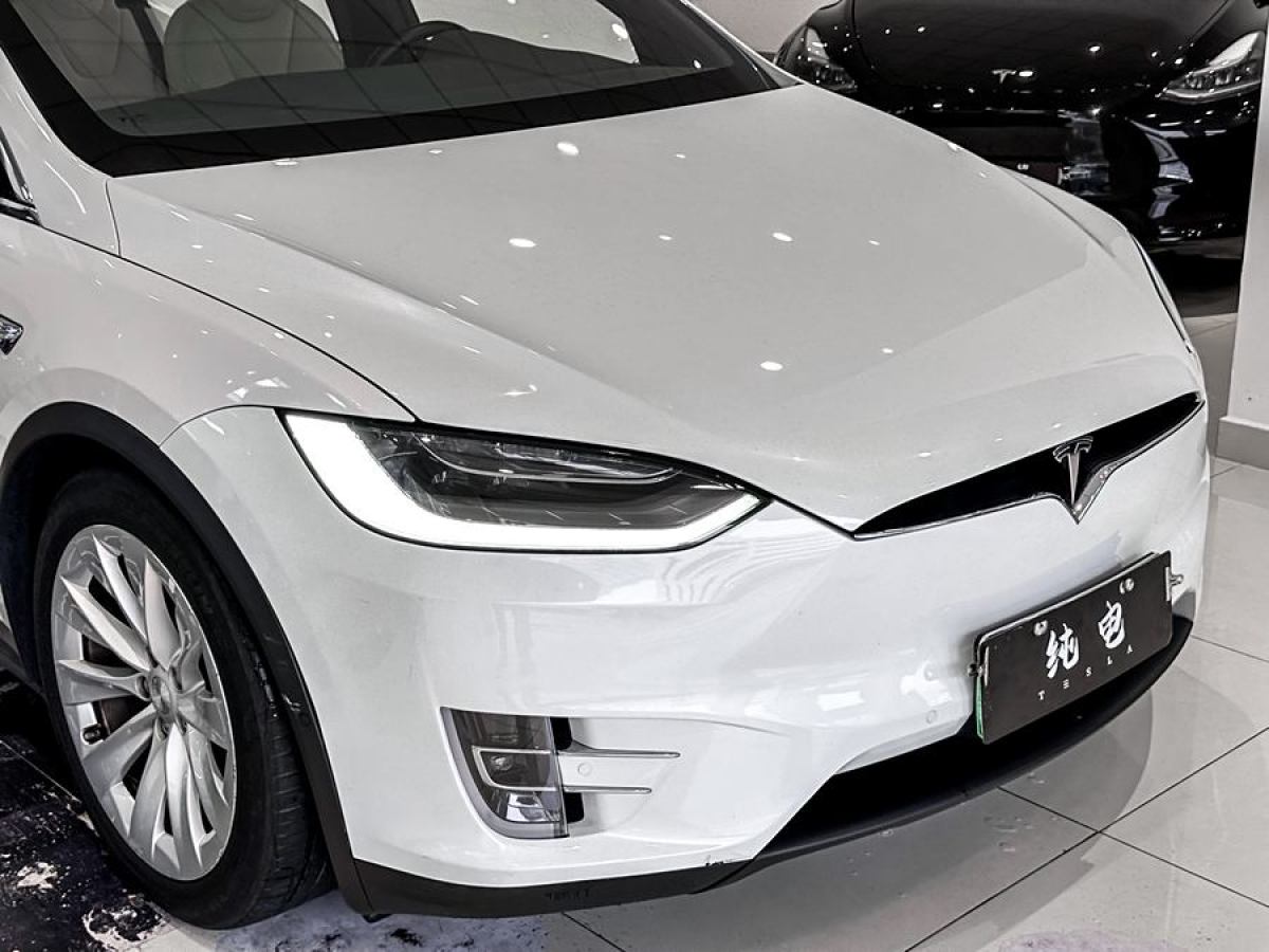 特斯拉 Model X  2020款 長(zhǎng)續(xù)航升級(jí)版圖片