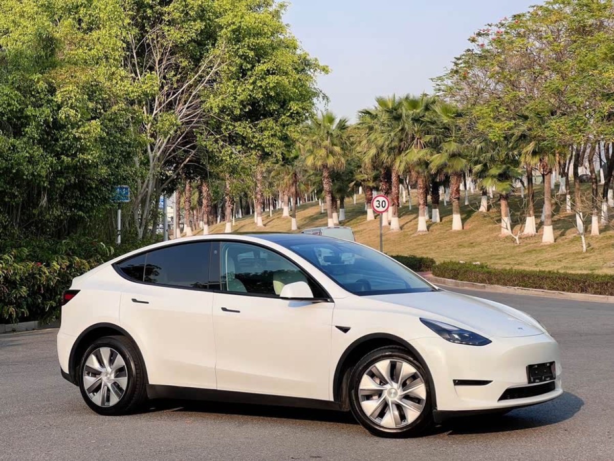 特斯拉 Model Y  2022款 改款 長續(xù)航全輪驅(qū)動版圖片