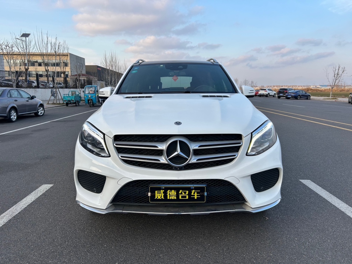 奔馳 奔馳GLE  2018款 GLE 320 4MATIC 動感型臻藏版圖片