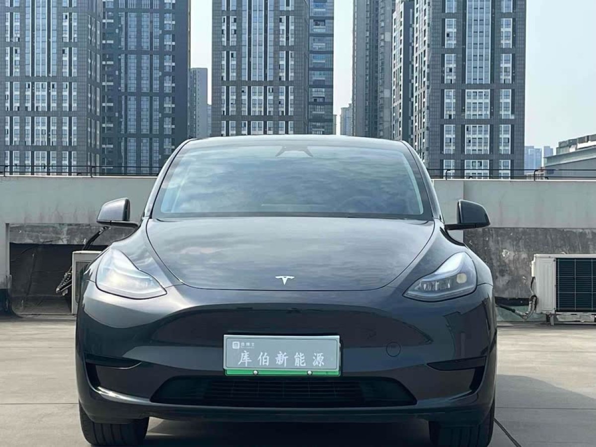 特斯拉 Model Y  2024款 后輪驅(qū)動(dòng)版圖片